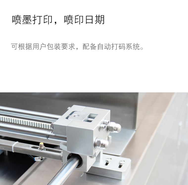 奶酪拉伸膜包裝機(jī)細(xì)節(jié)3 奶酪拉伸膜包裝機(jī)細(xì)節(jié)3