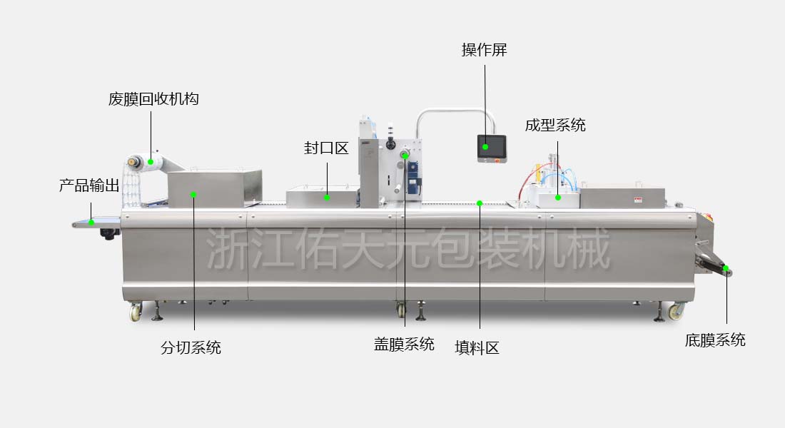 硬膜.jpg 硬膜.jpg